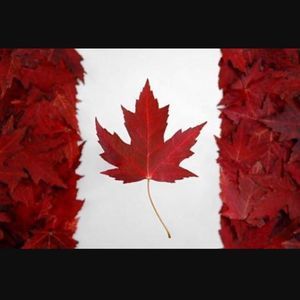 Meet your Posher, Kari